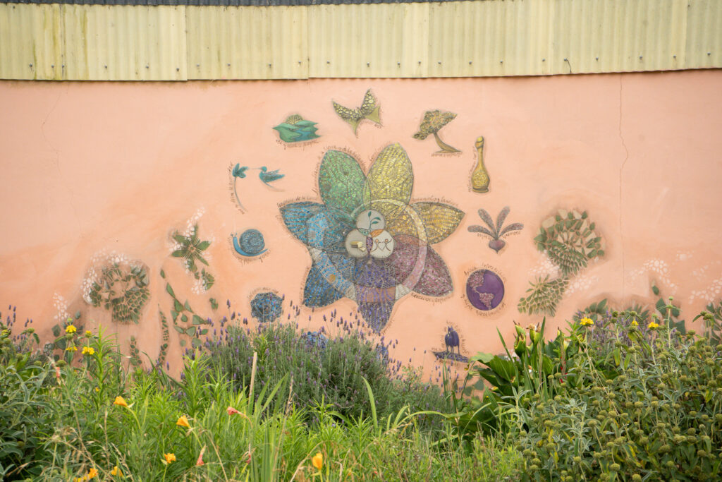 flor de quinta