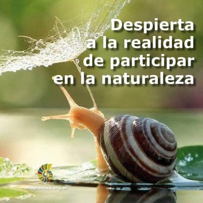 FOTOMENSAJES 2016 despierta