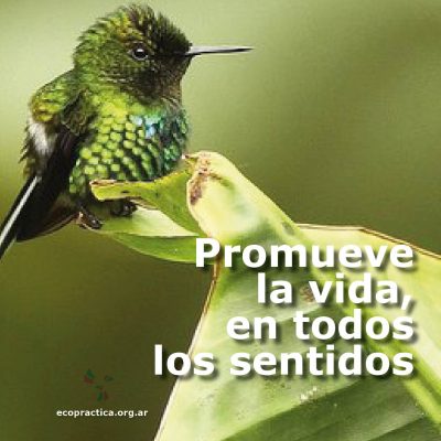 FOTOMENSAJES 2016 promueve
