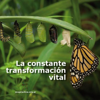 FOTOMENSAJES 2016 transformacion