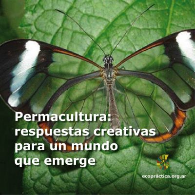 afotomensaje-2017-respurestas