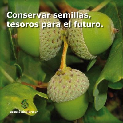 fotomensaje-2017
